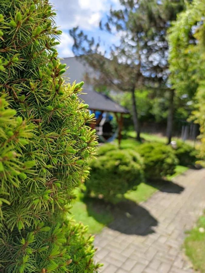 Penzion Roal Pieniny Hotell Spisska Stara Ves Eksteriør bilde
