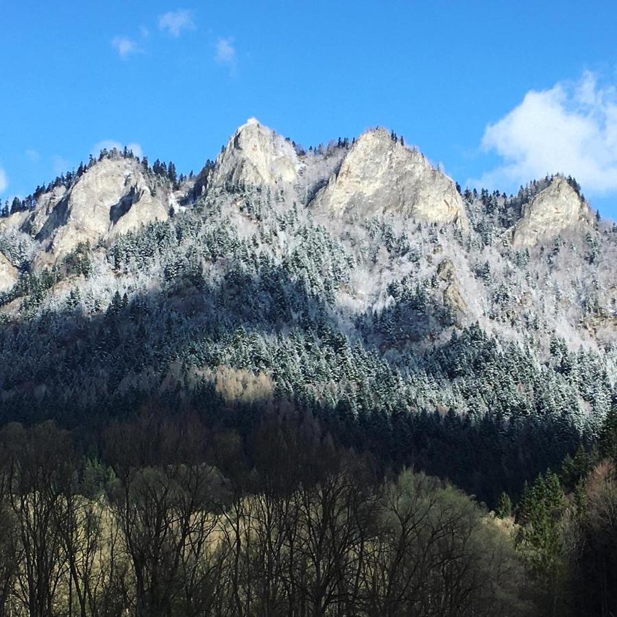 Penzion Roal Pieniny Hotell Spisska Stara Ves Eksteriør bilde